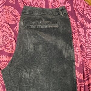 Old Navy Velour Pixie Pants